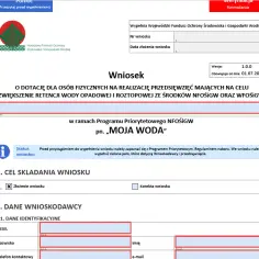 Jak wypełnić wniosek IN-1 bez błędów i oszczędzić czas