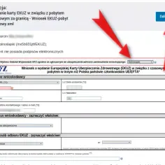 Jak prawidłowo wypełnić wniosek EKUZ dla dziecka: kompletny poradnik z wzorem