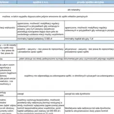 Prosta spółka akcyjna: Zalety i wady - Czy to dobry wybór?