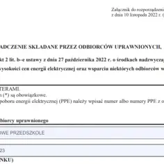 Jak złożyć oświadczenie o zamrożeniu cen prądu i uniknąć wysokich rachunków