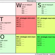 Analiza SWOT TOWS - praktyczny przykład z gotową strategią rozwoju