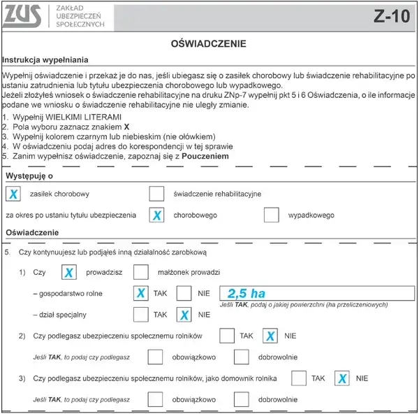 Zdjęcie Jak wypełnić wniosek o świadczenie rehabilitacyjne: Kompletny poradnik