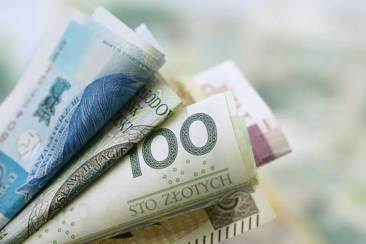 Osoba analizująca dokumenty z ZUS lub MOPS