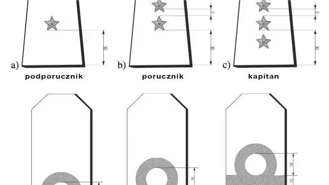 Zdjęcie Ma dwie belki: Co oznacza ten stopień wojskowy i jego ranga?