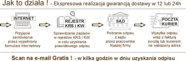 Jak pobrać pełny odpis z KRS: Prosty sposób krok po kroku